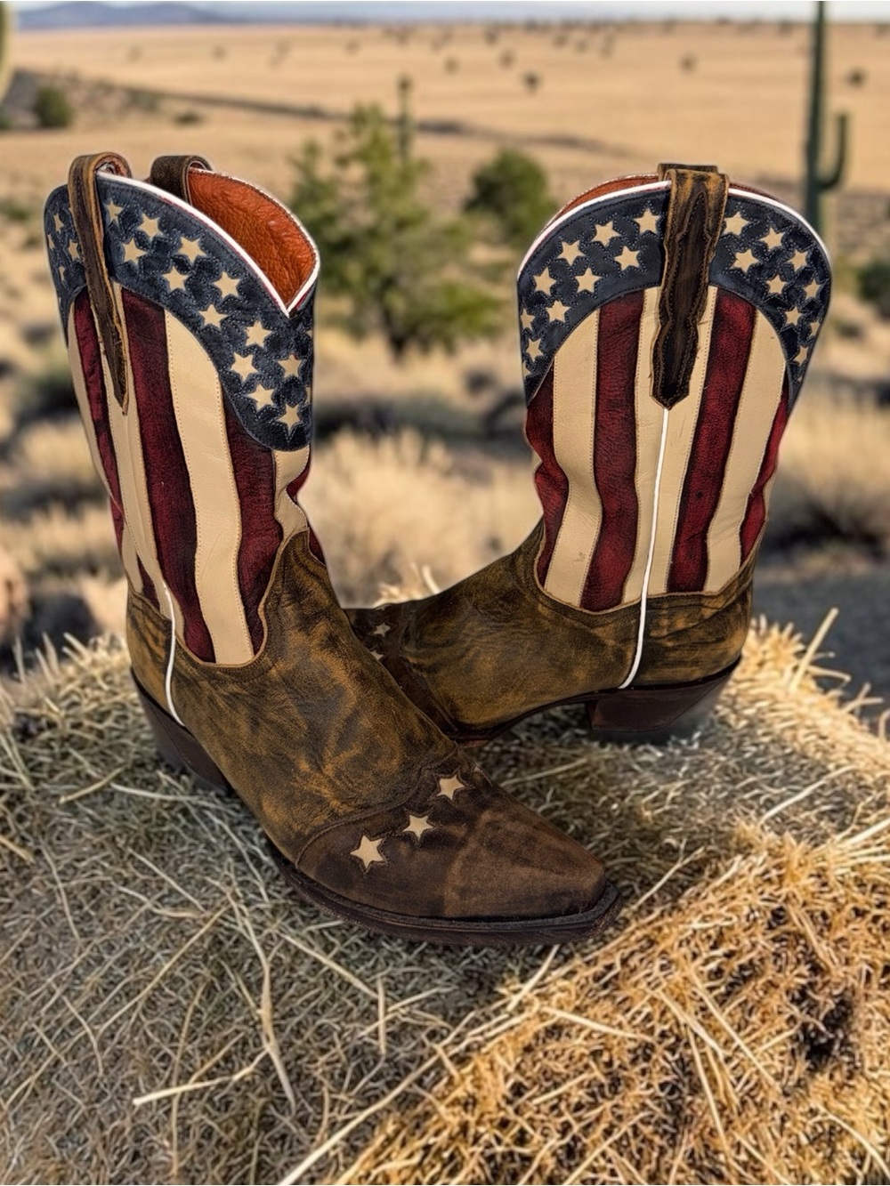 Dan Post American Flag Western Boots in Brown/Red/Blue